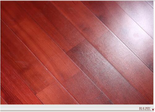 舞臺專用紅運動地板-圖2