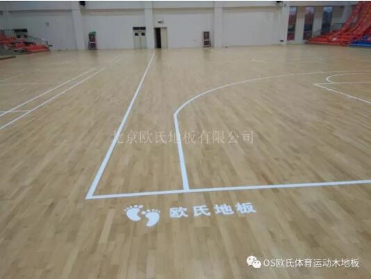 臨沂市理工學(xué)校體育館木地板成功案例