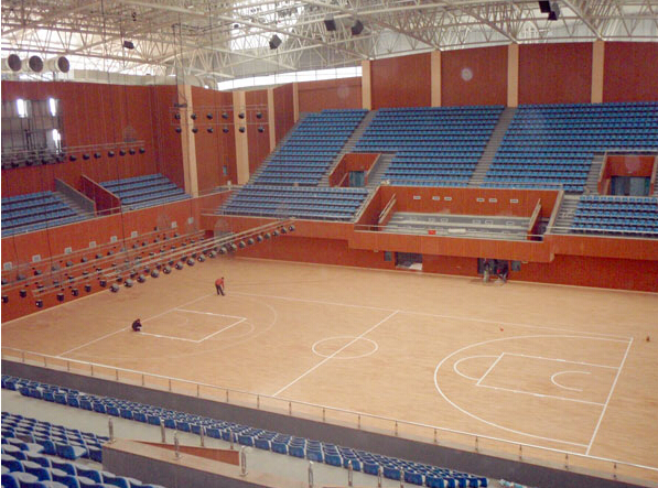 運(yùn)動(dòng)地板 運(yùn)動(dòng)地板